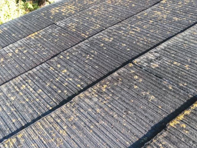 小牧市光ヶ丘にて、屋根と外壁の塗装の現調です。