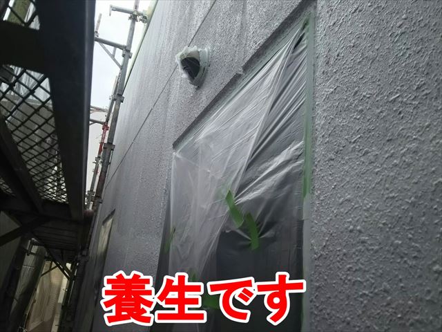 養生