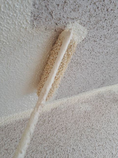 軒天の塗装です