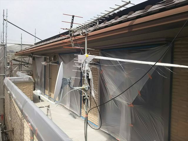 養生です