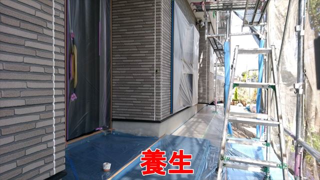 養生