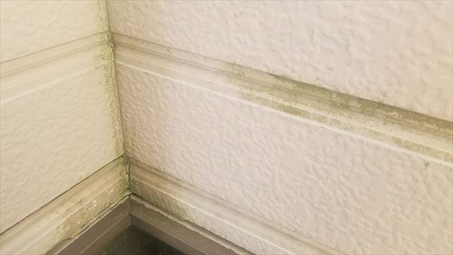 春日井市白山町で屋根外壁塗装の現地調査、塗膜劣化で色褪せ。