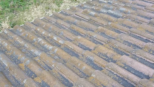 既存の屋根、カビが生えてる