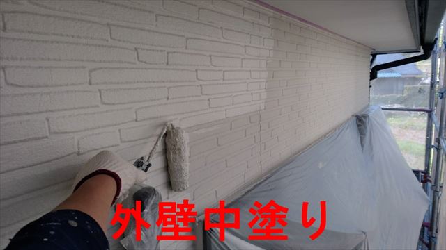 外壁の中塗り