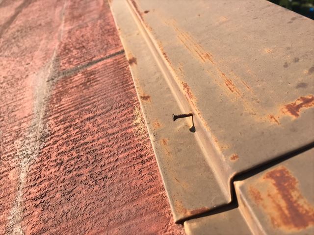棟板金の釘が浮いています