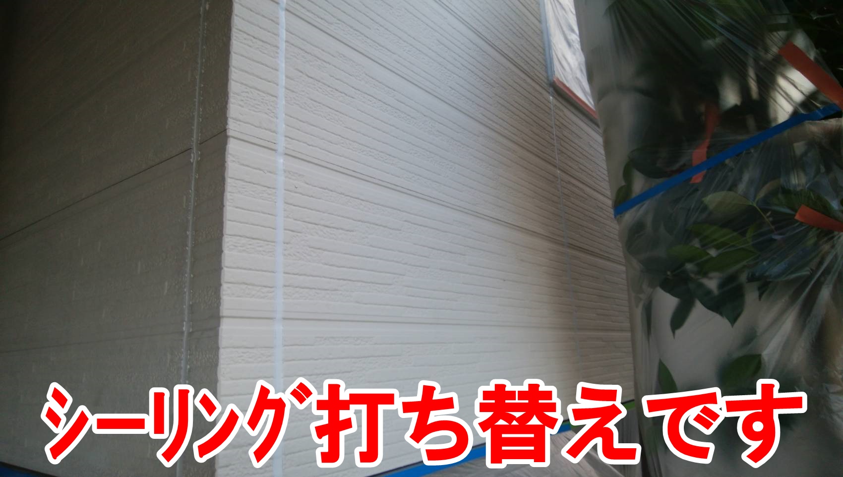シーリング打ち替え