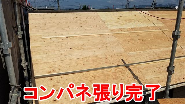 コンパネ張り完了