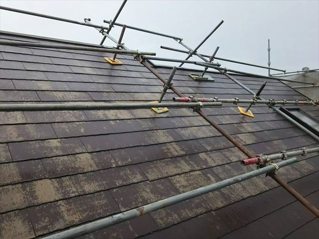 瀬戸市、屋根のバイオ洗浄