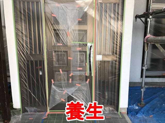 養生