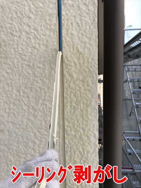 シーリング剥がし