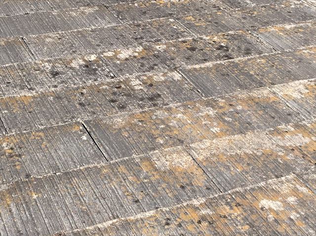既存の屋根、塗膜の色褪せ