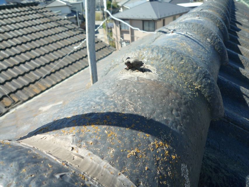 土浦市で現地調査、瓦のヒビや外壁に亀裂(クラック)がありました