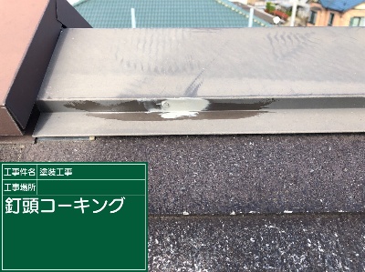 つくば市、築17年の現場。棟板金と霧よけを雨漏り対策のために補修！