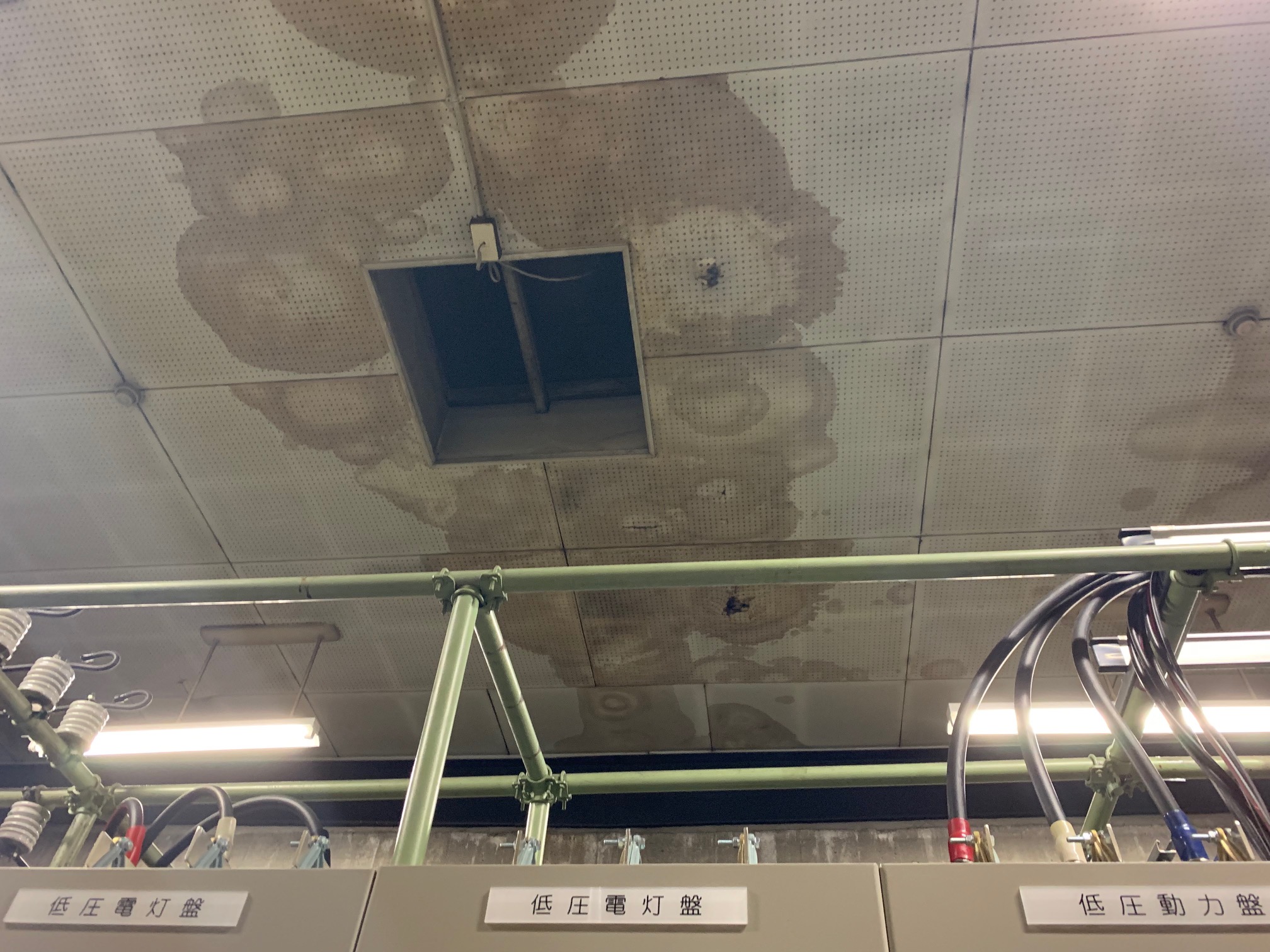 雨漏り