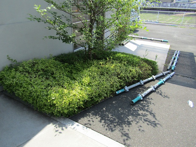 足場組みの鉄骨を置いている