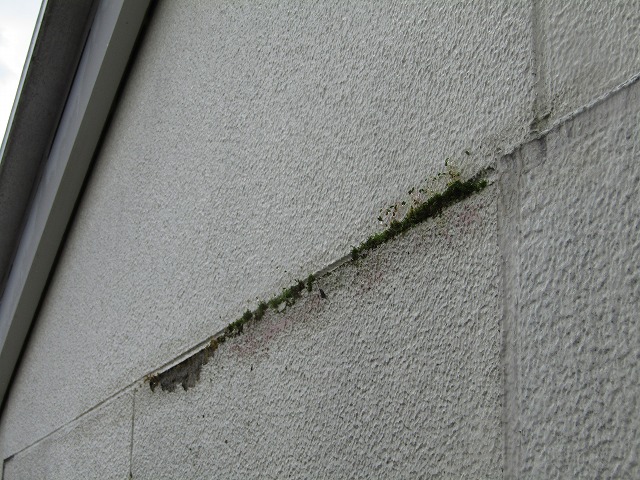 雨漏り部位