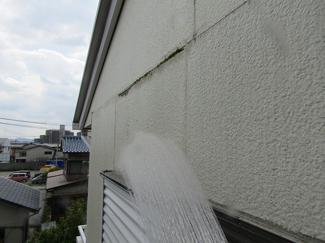 散水検査