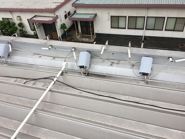 野猿検査