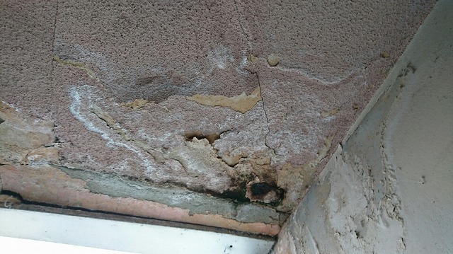 福島市　ビルの屋上からの雨漏り調査に行ってきました