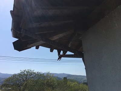 福島市で雨樋集水器にスズメが巣を作ったので撤去しました！