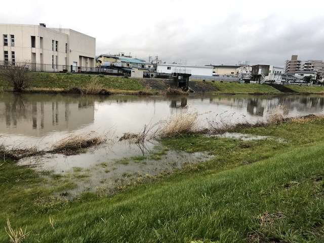 草加市綾瀬川