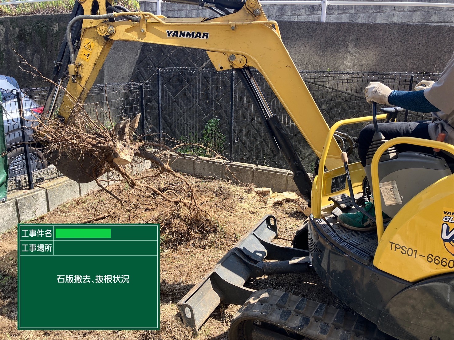 伐根