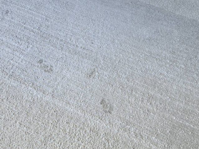 飯田市T邸_猫の足跡スタンプ