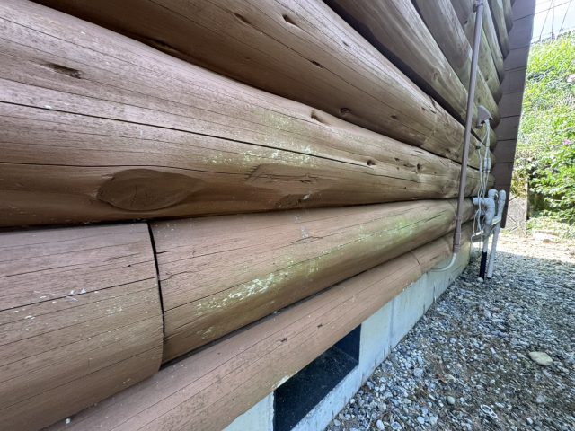 阿南町T邸_緑のコケ汚れ付着