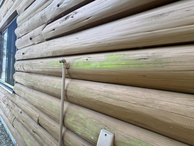 阿南町T邸_緑のコケやカビ汚れ付着