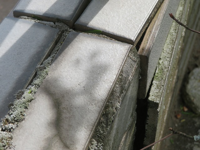 上伊那郡宮田村：ブロック塀の剥離したタイル目地に苔が発生している様子