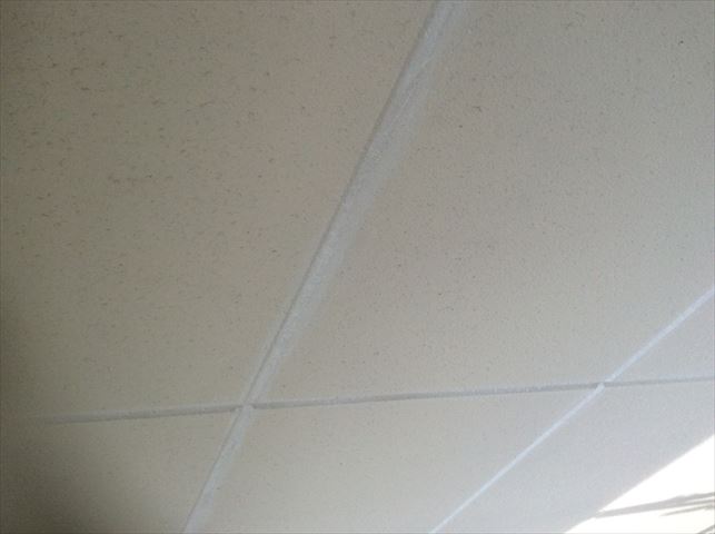 下塗り目地
