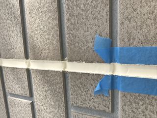 原新田 小林邸