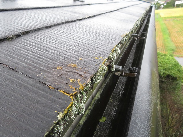 伊那市：スレート屋根が劣化して苔やカビ、割れが発生