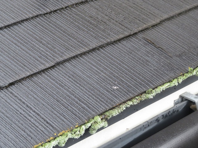 伊那市：スレート屋根の塗膜が劣化してひび割れが発生している様子