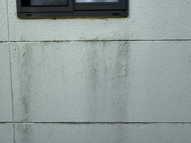 高森町N邸_外壁の黒ずみ汚れ