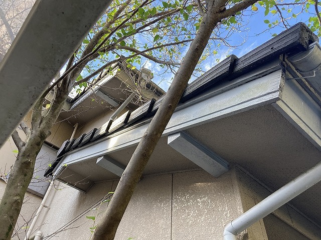 軒先と屋根端部の状況