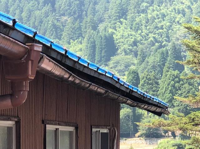 雨樋が波打っている