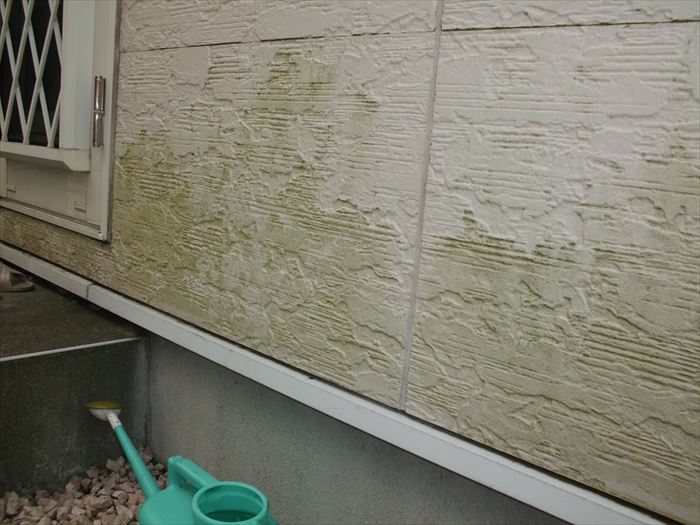 千葉市緑区おゆみ野南で築浅住宅に苔が付着する原因と美観性を長く維持するための塗装方法をご紹介