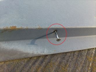 釘の浮きが見られる棟板金