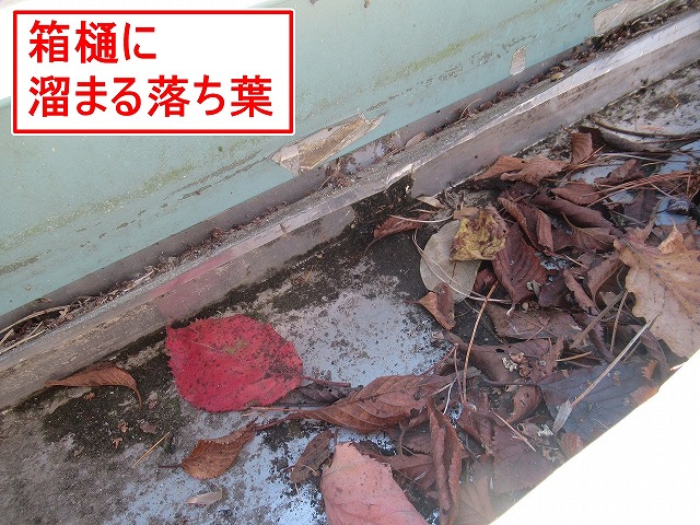 南都留郡富士河口湖町で観光ホテルの屋根を点検・調査して、箱樋からの雨漏りを確認！