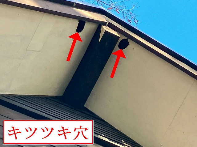 北杜市で現地調査！軒天のキツツキ穴とウッドデッキの落葉・色あせ、雨戸や小屋の傷み