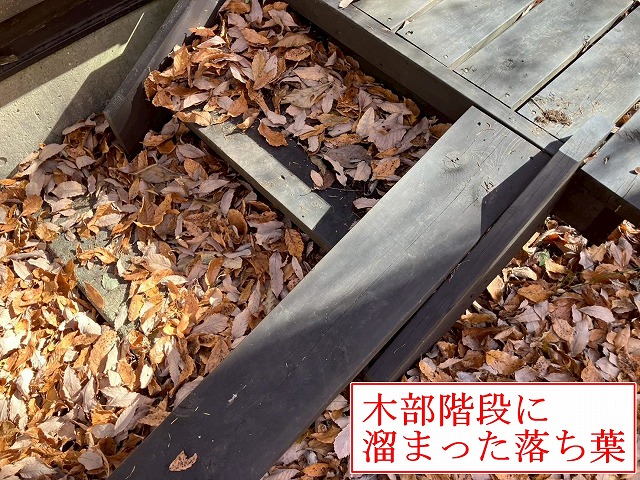 北杜市でノンロットブルーノで木部階段、キシラデコールフォレストで離れ小屋の塗装！