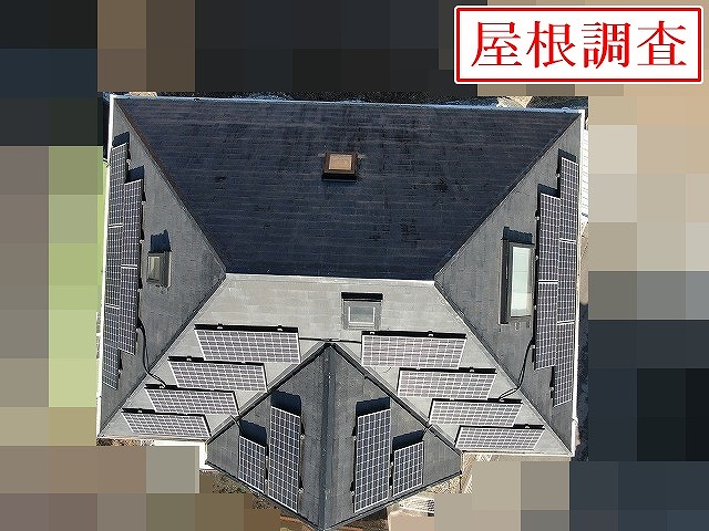 屋根全体の調査風景