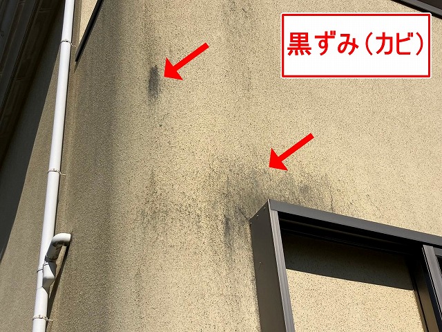 笛吹市でモルタル外壁に黒ずみ(カビ)が発生した写真