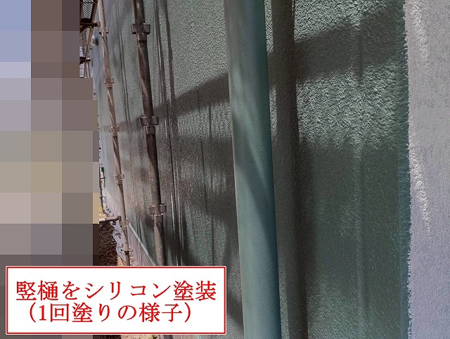 竪樋の1回目塗装中