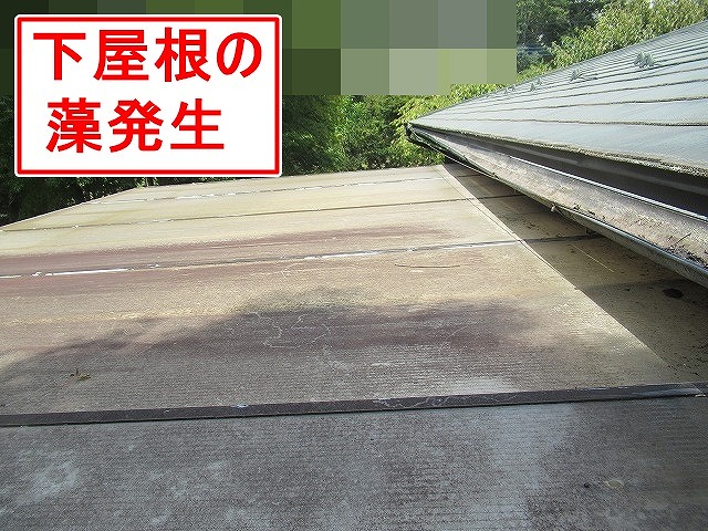 北杜市で下屋根に藻が繁殖している様子