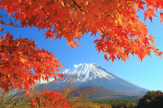 山梨　紅葉