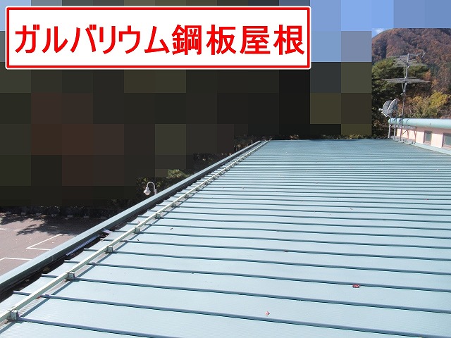 南都留郡富士河口湖町で観光ホテルのガルバリウム鋼板屋根の調査を行う様子