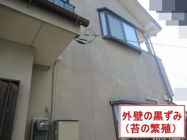 南アルプス市でモルタル外壁に苔が繁殖して黒ずんでいる様子