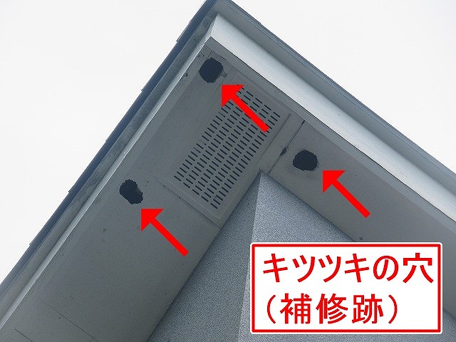 甲府市でキツツキの穴が目立つ軒天(補修跡)
